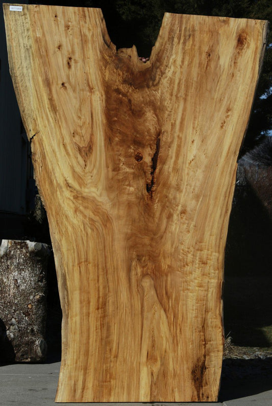 Figured Crotchwood Cottonwood Slab