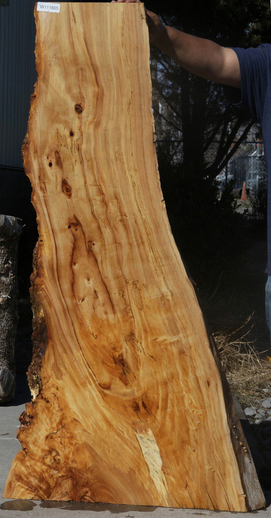 Figured Cottonwood Slab