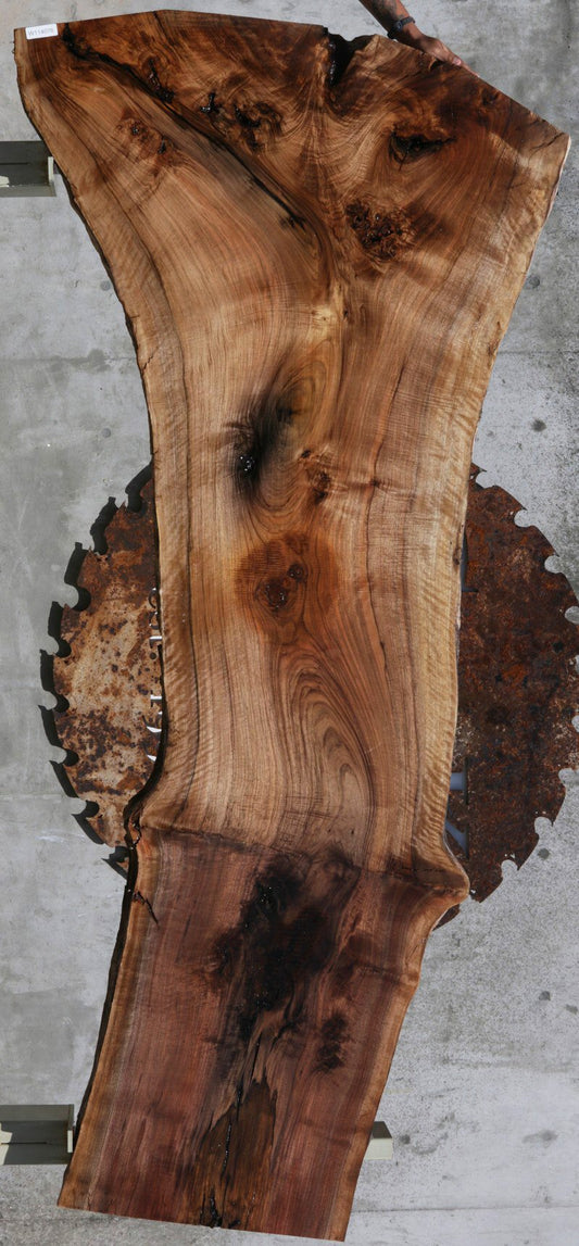 Rustic Grafted English/Claro Walnut Slab