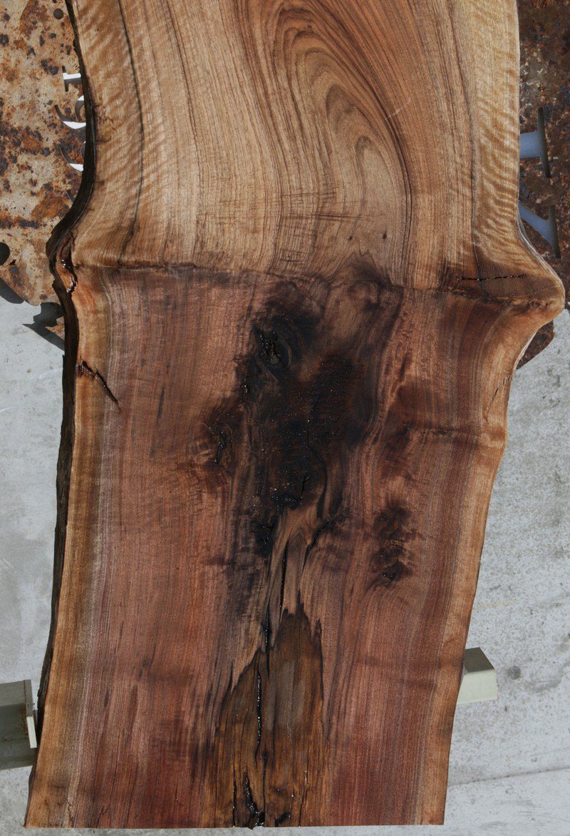 Rustic Grafted English/Claro Walnut Slab