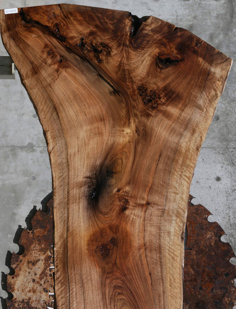 Rustic Grafted English/Claro Walnut Slab