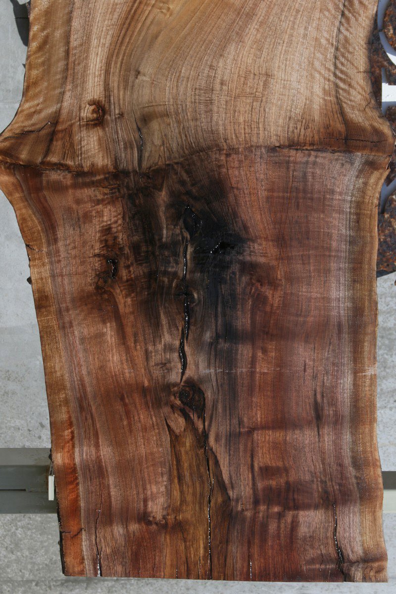 Rustic Grafted English/Claro Walnut Slab