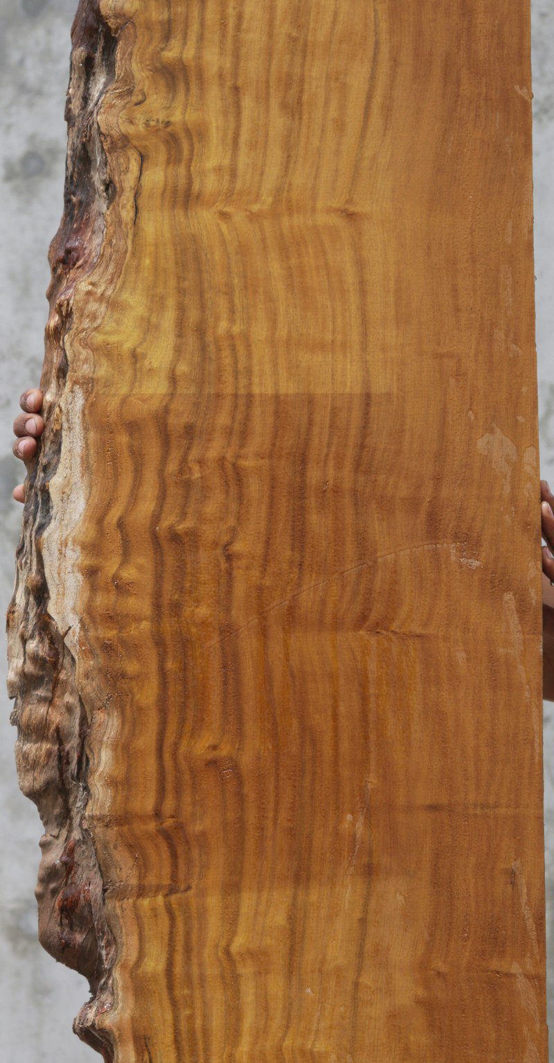 Itauba Live Edge Lumber