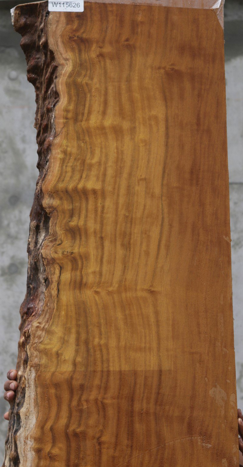 Itauba Live Edge Lumber