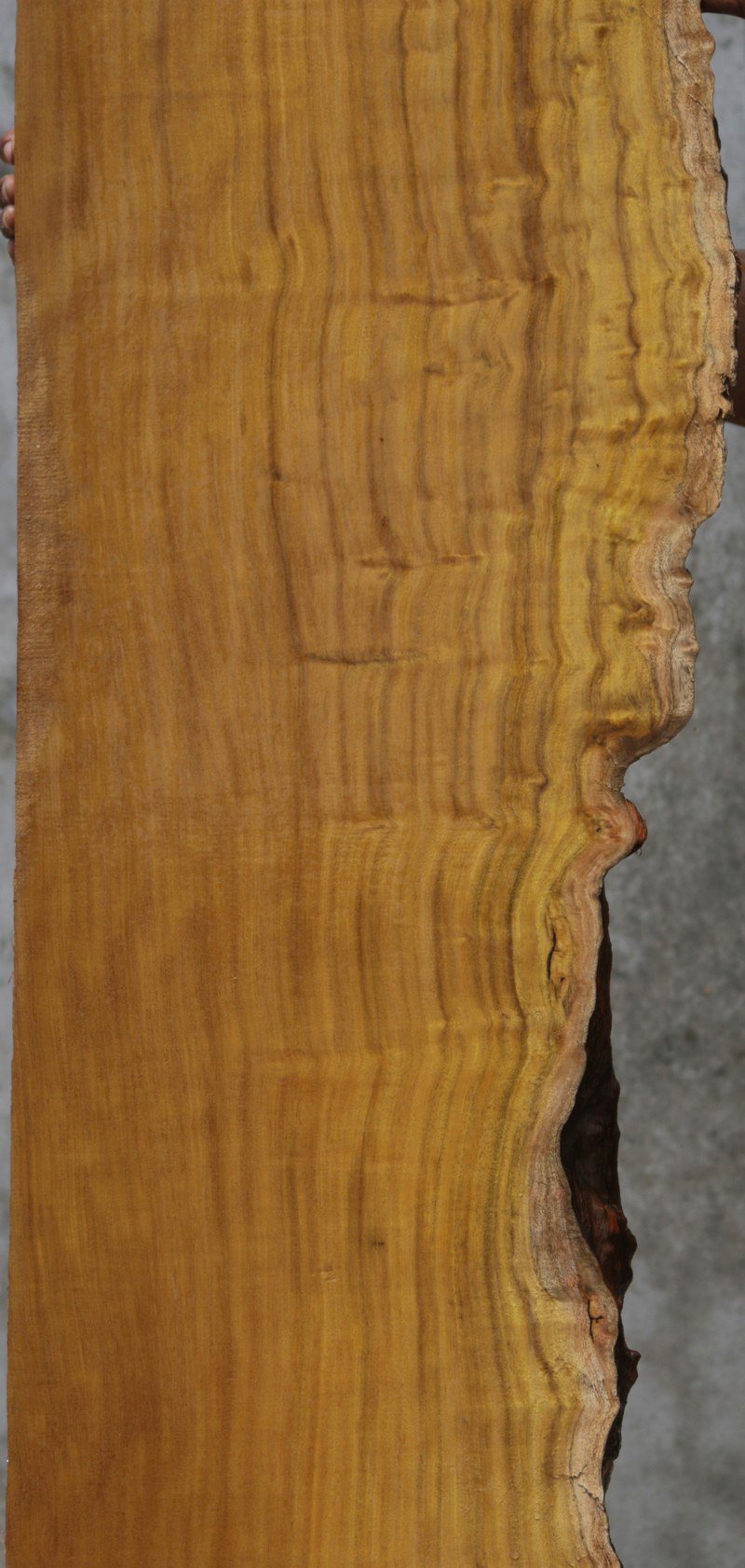 Itauba Live Edge Lumber
