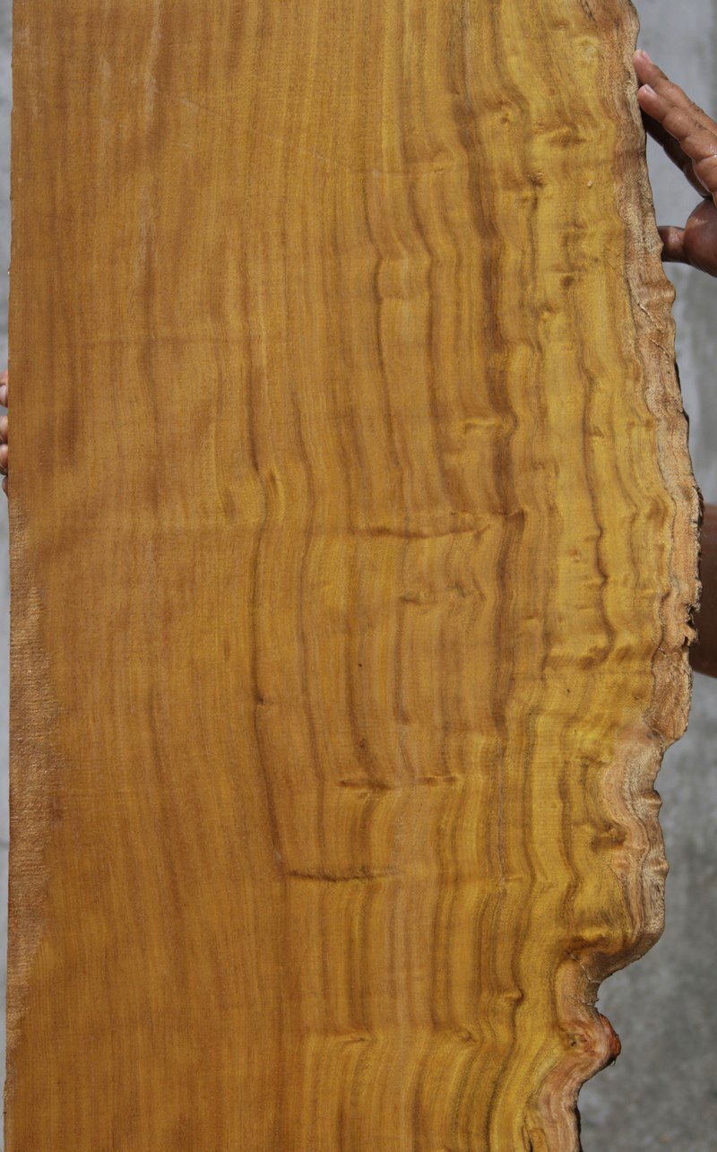 Itauba Live Edge Lumber