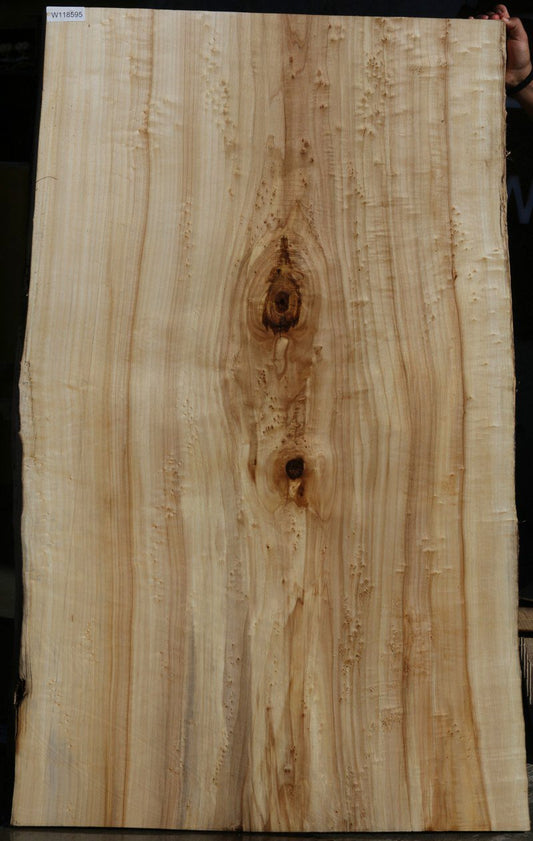 Figured Black Cottonwood Slab