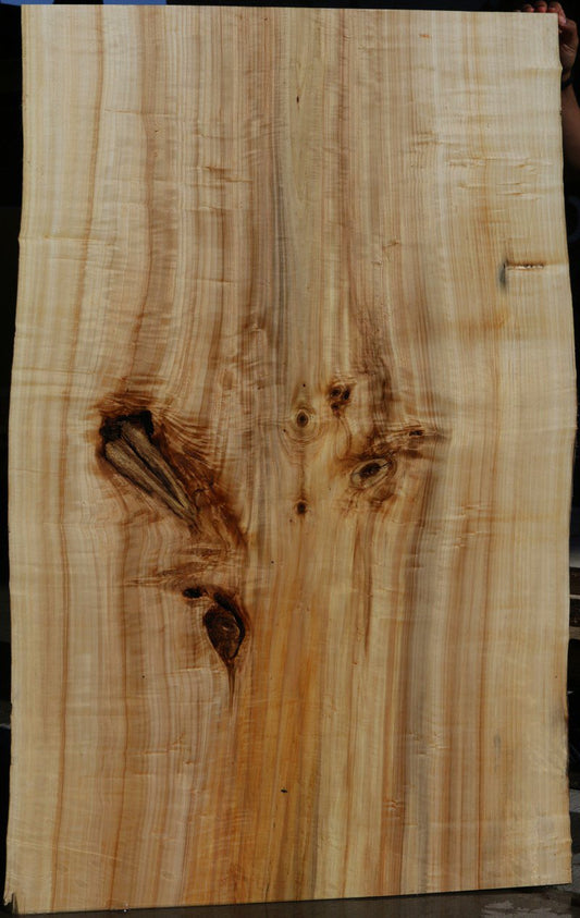 Figured Black Cottonwood Slab