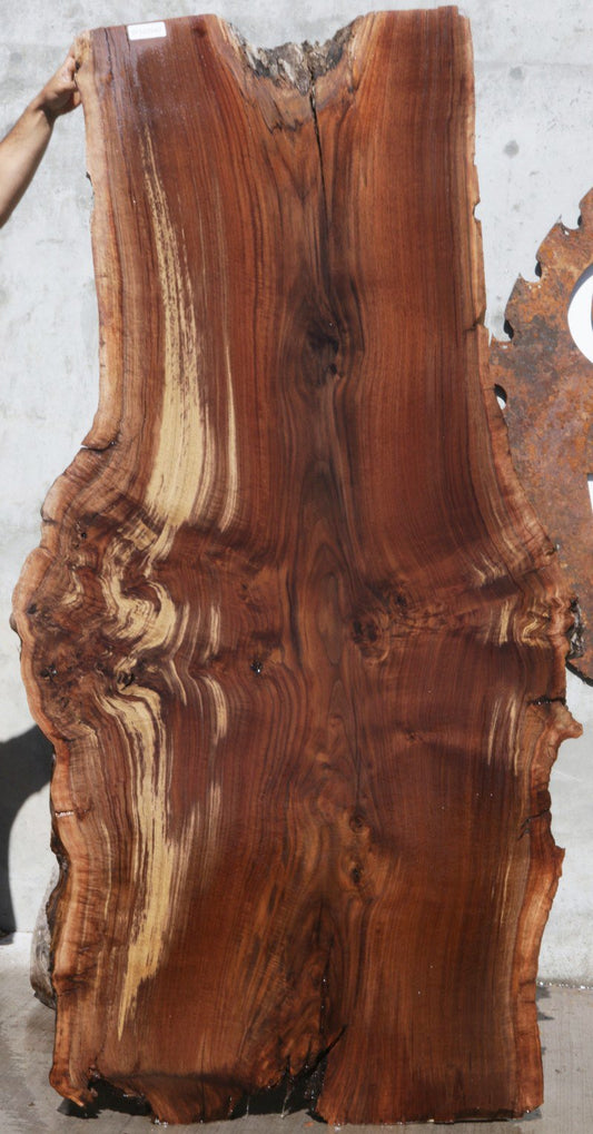 Claro Walnut Slab (Free Shipping Excluded)