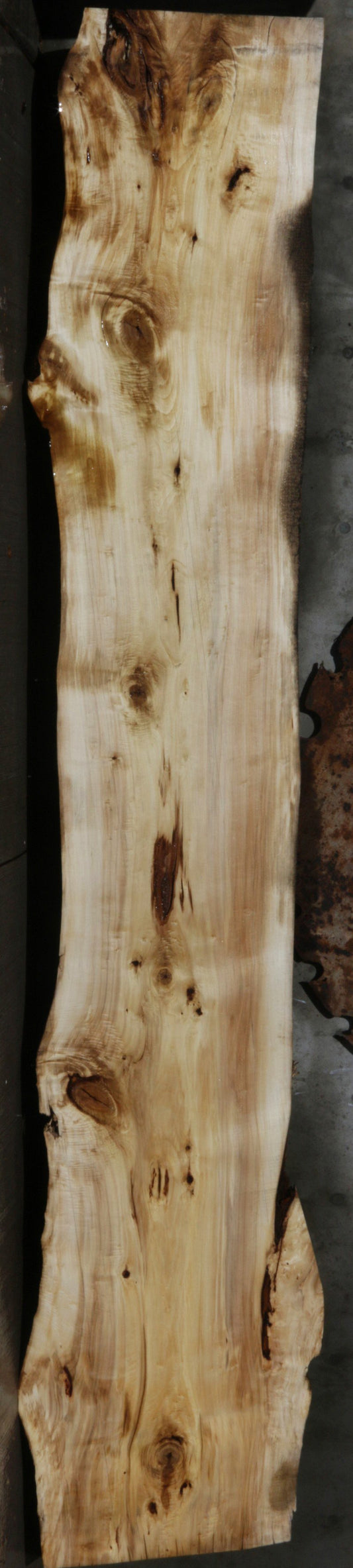 Black Cottonwood Slab