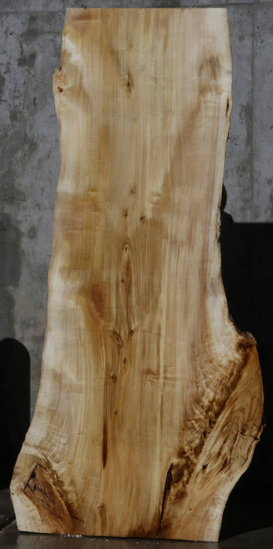 Black Cottonwood Slab