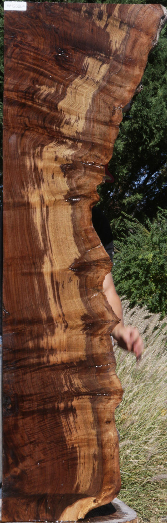 Claro Walnut Slab