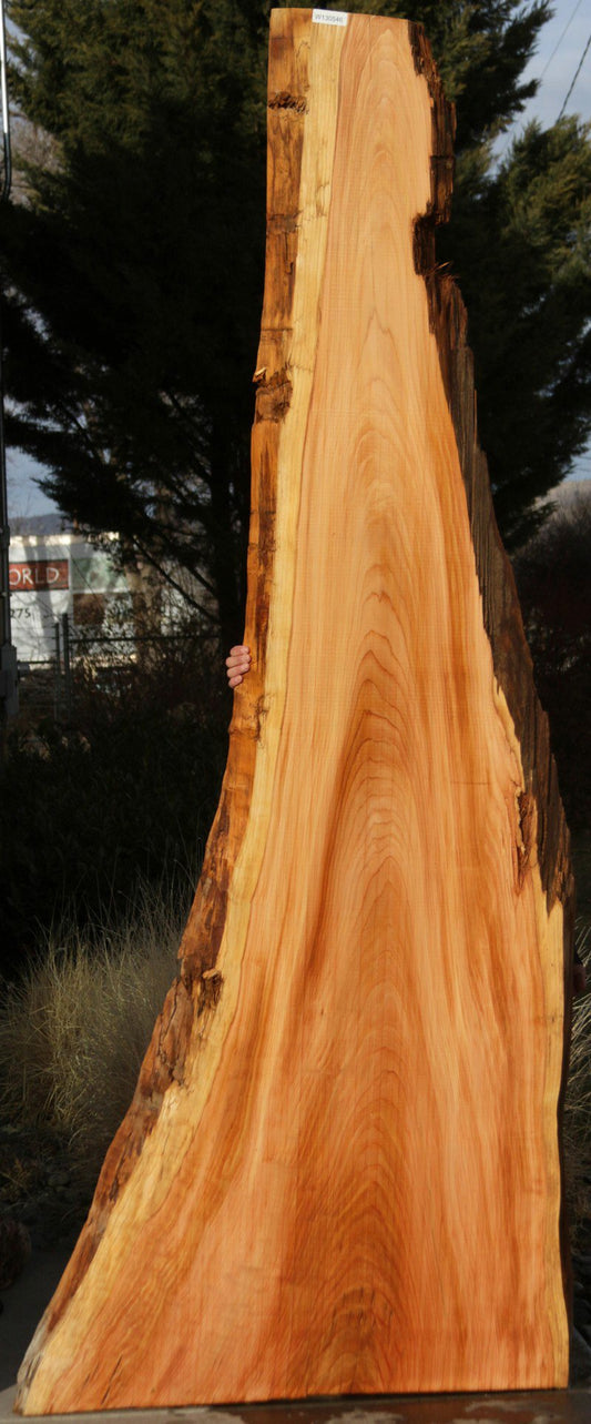 Redwood Slab