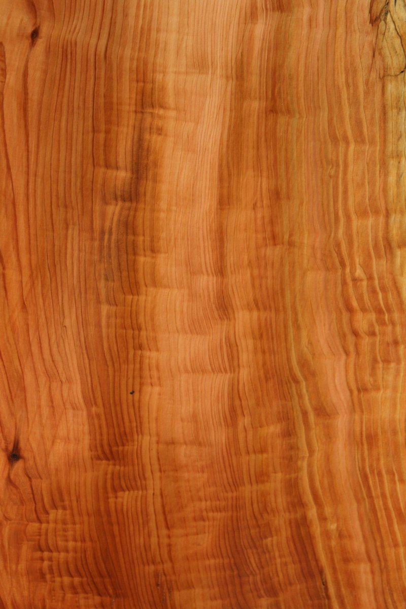 Redwood Slab