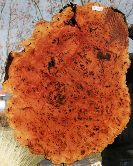 Red Mallee Resin Burl Round Slab