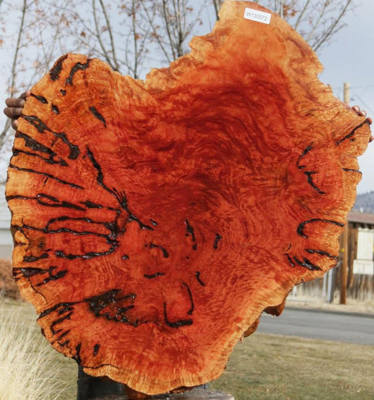 Red Mallee Resin Burl Round Slab