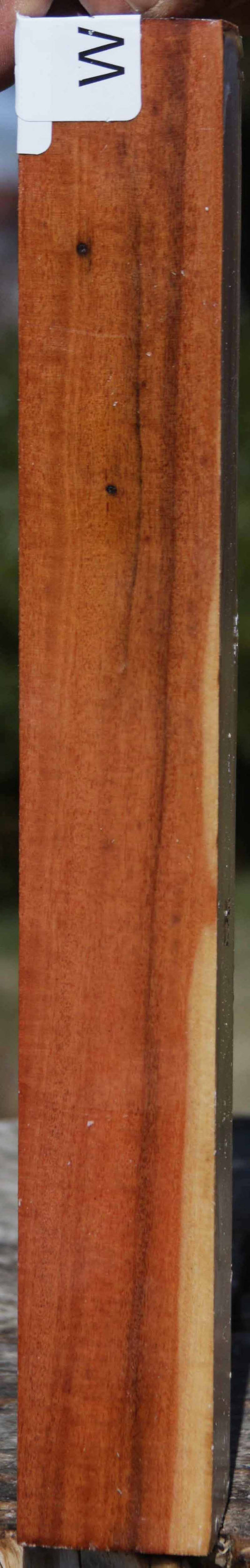 Pink Ivory Turning Square