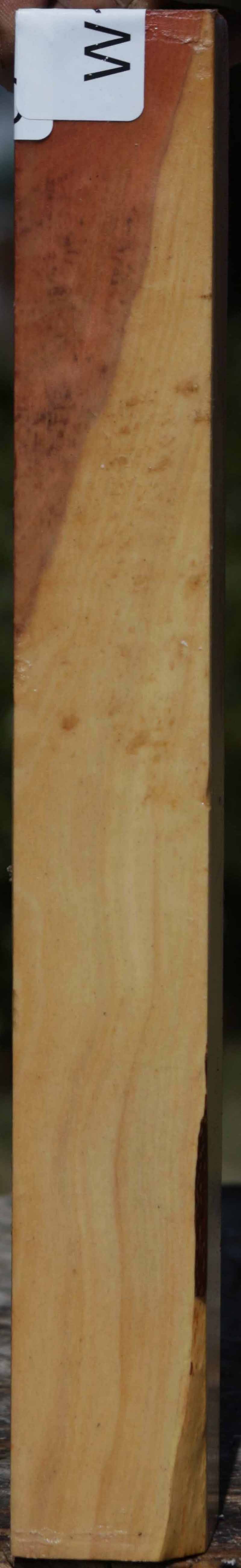 Pink Ivory Turning Square