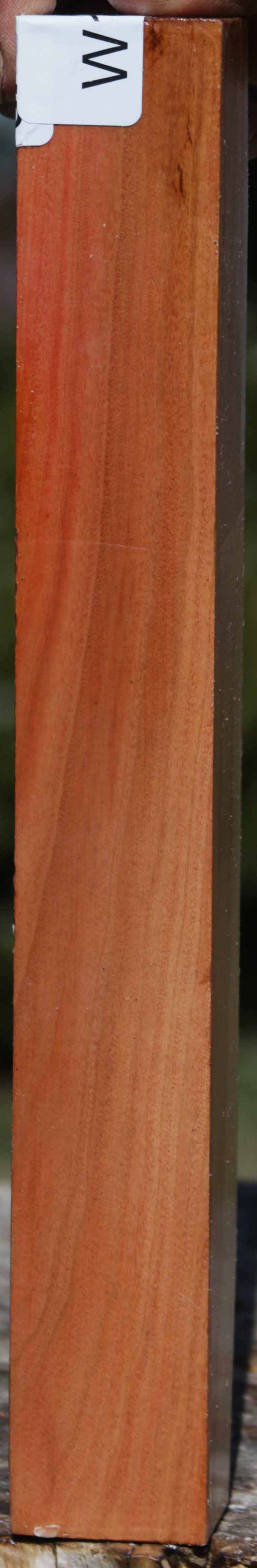 Pink Ivory Turning Square