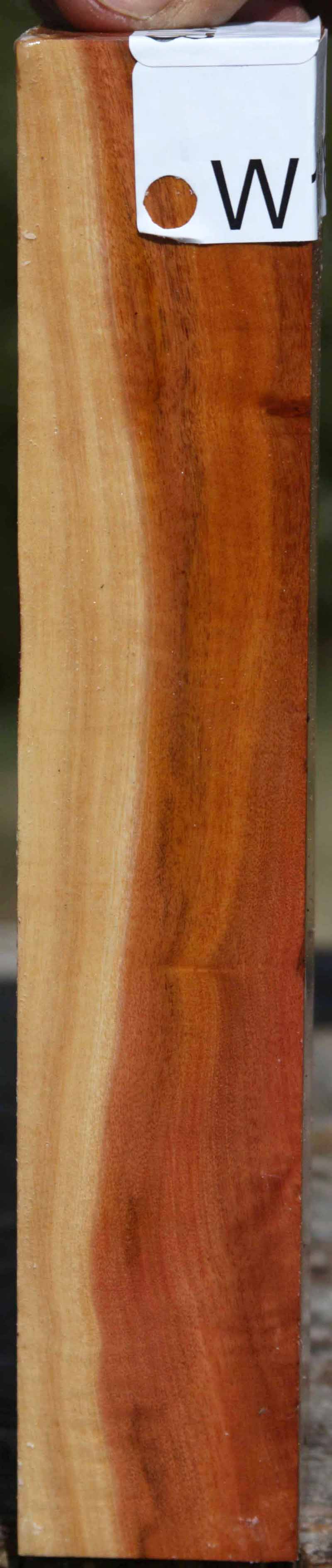 Pink Ivory Turning Square