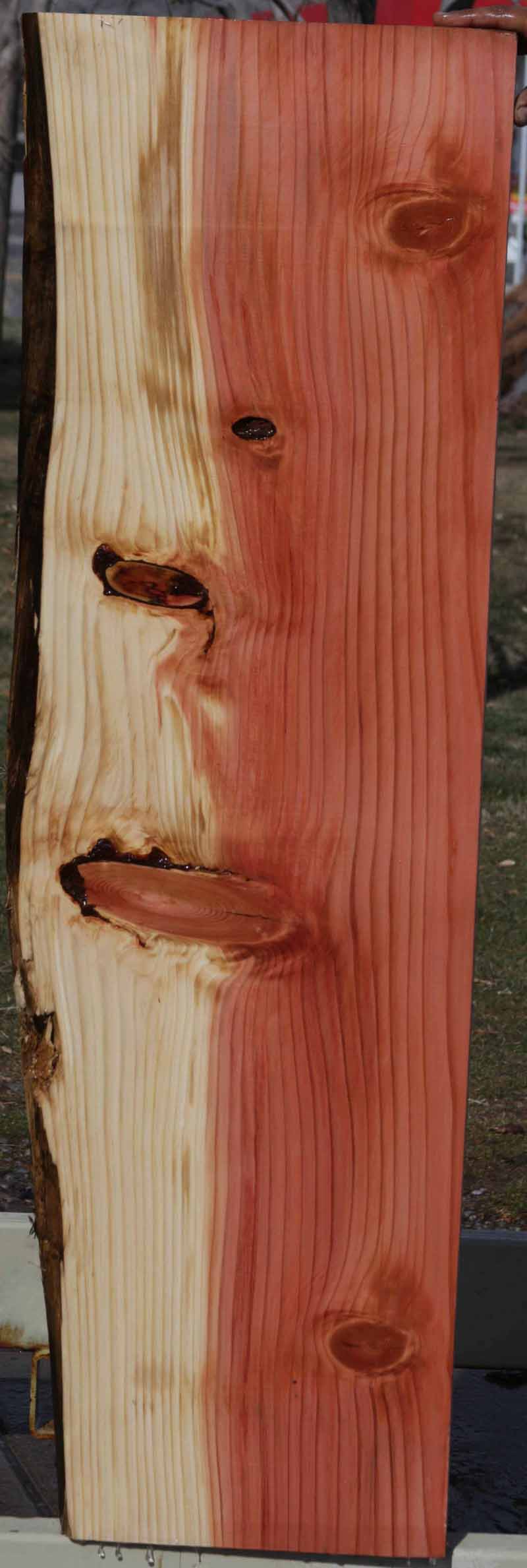 Sequoia Live Edge Lumber