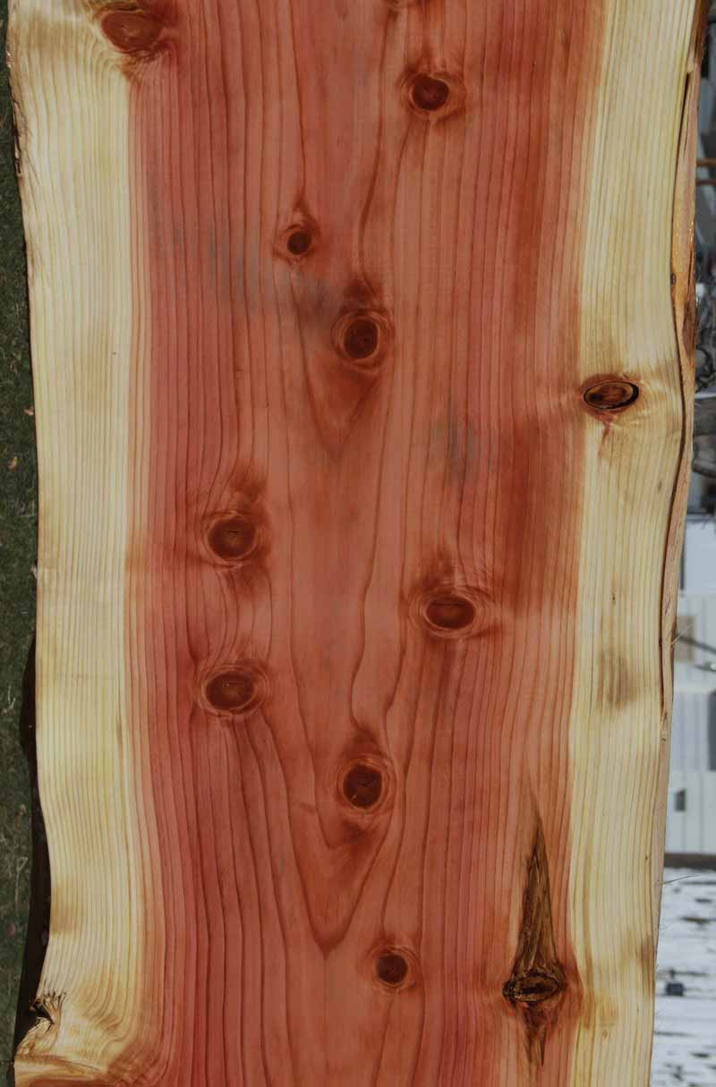 Sequoia Slab