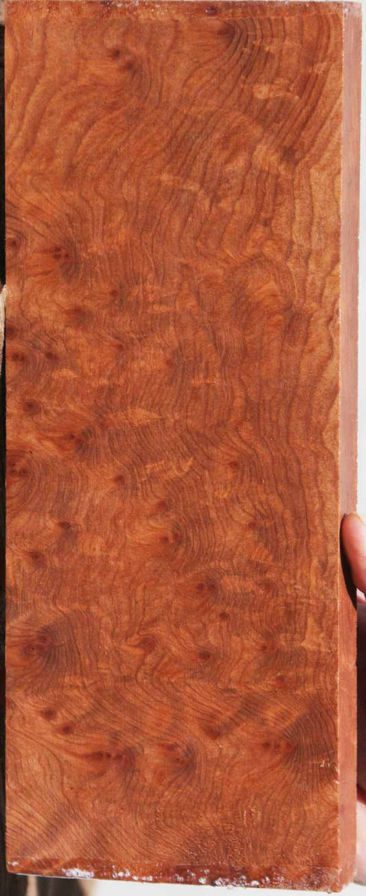 Curly Redwood Burl Drop Top Electric Guitar Billet