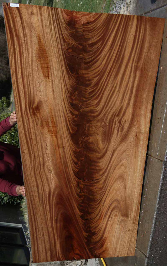 Feather Crotchwood Sipo Slab