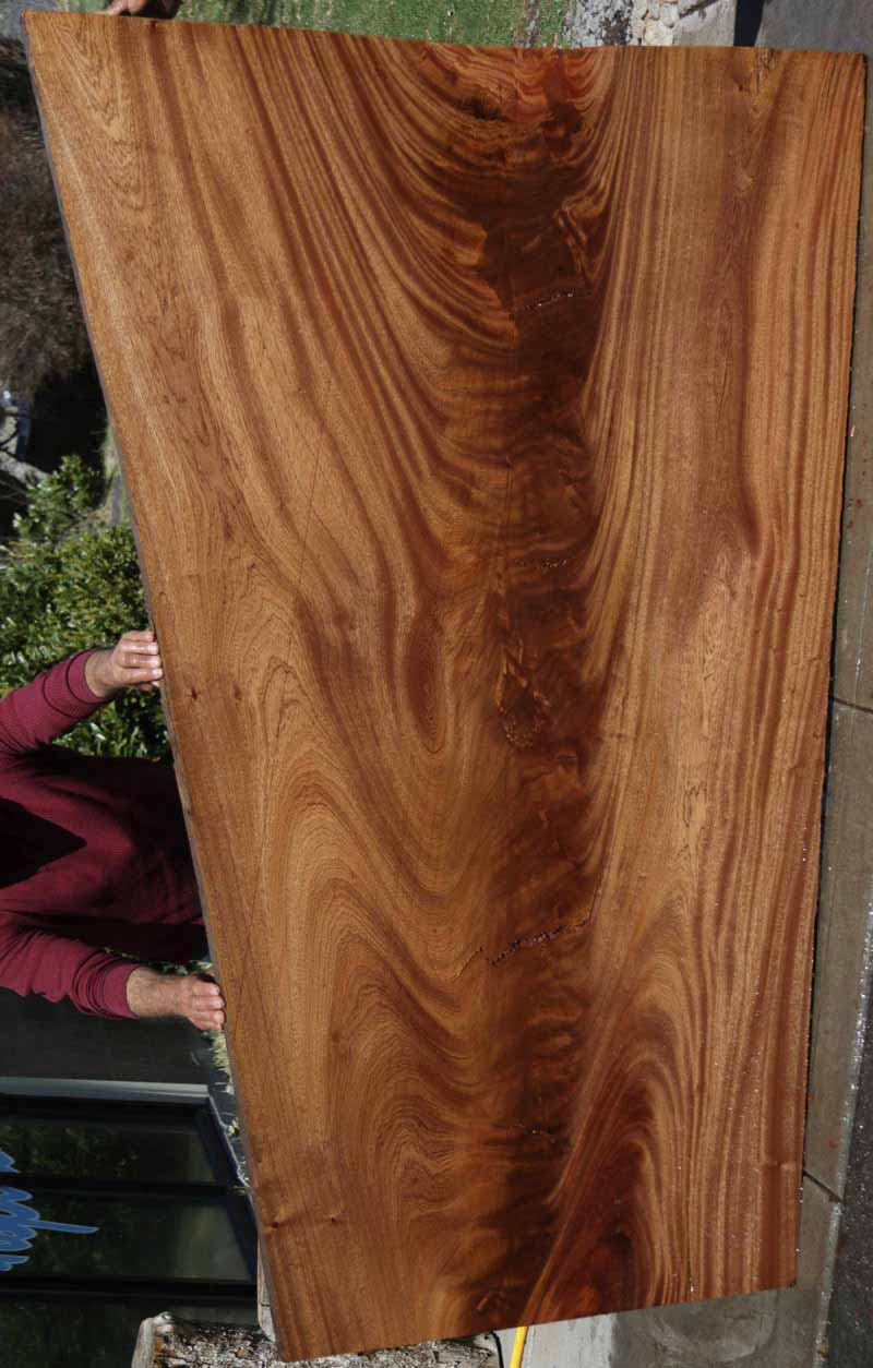 Feather Crotchwood Sipo Slab