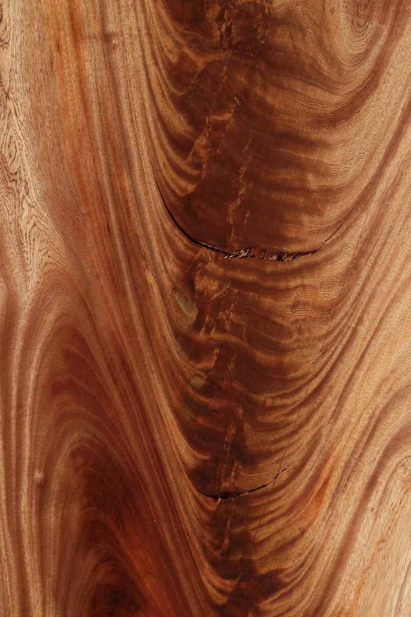 Feather Crotchwood Sipo Slab