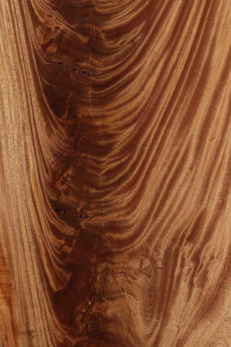 Feather Crotchwood Sipo Slab