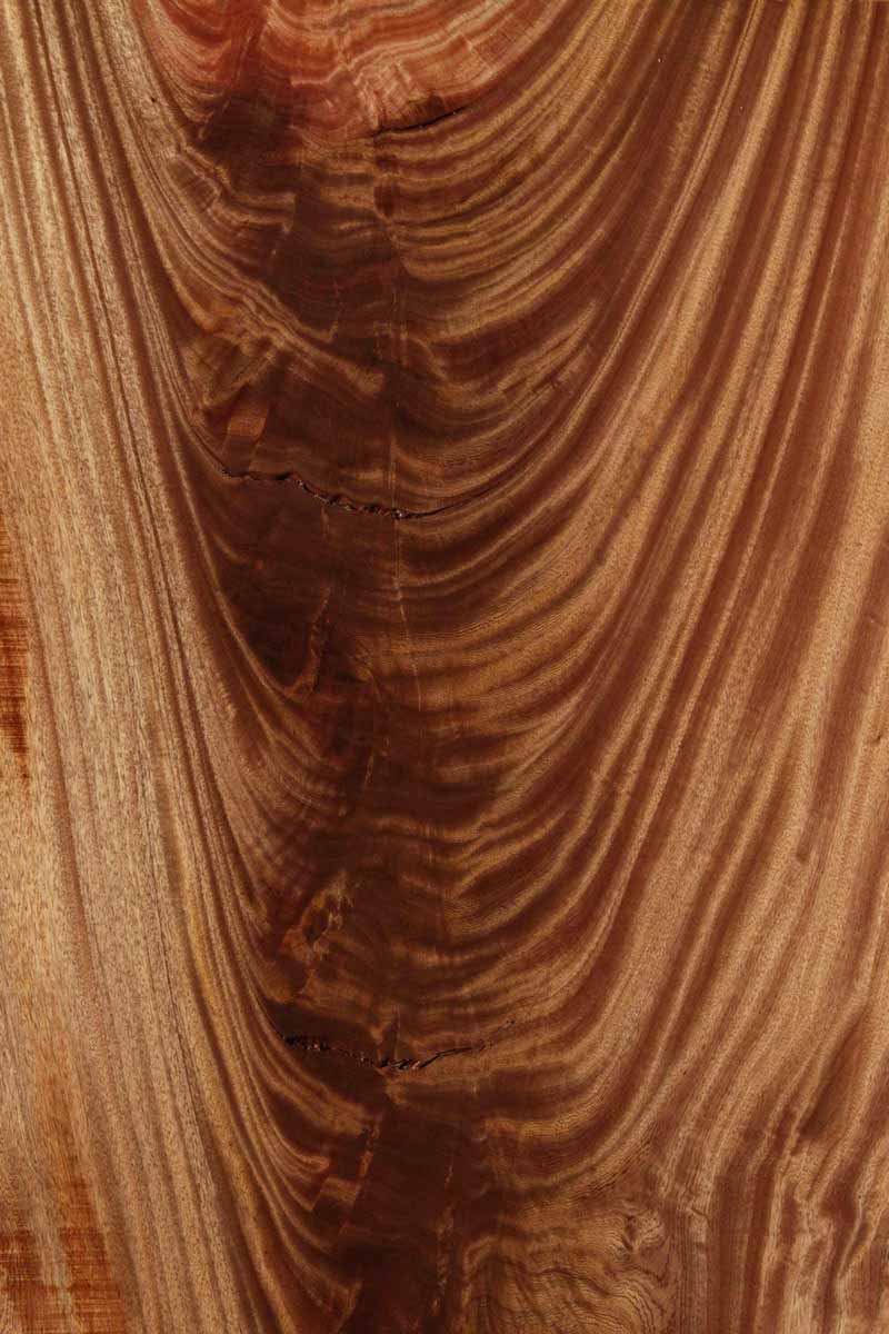 Feather Crotchwood Sipo Slab