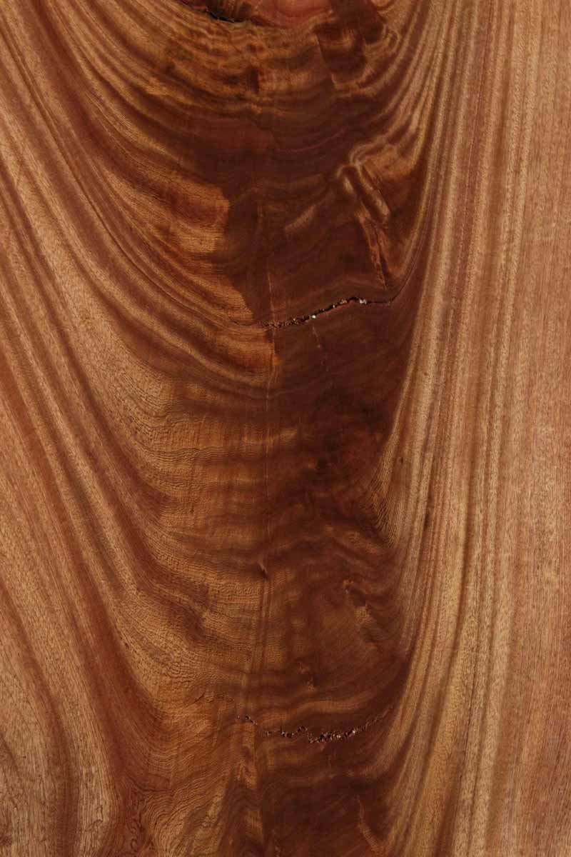 Feather Crotchwood Sipo Slab