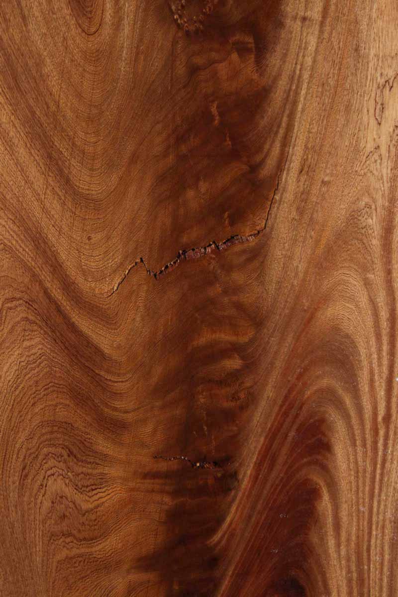 Feather Crotchwood Sipo Slab