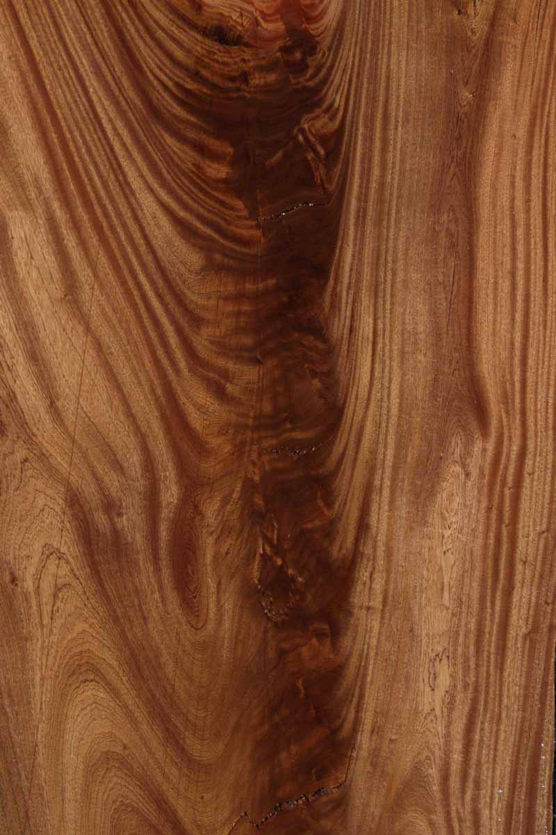 Feather Crotchwood Sipo Slab