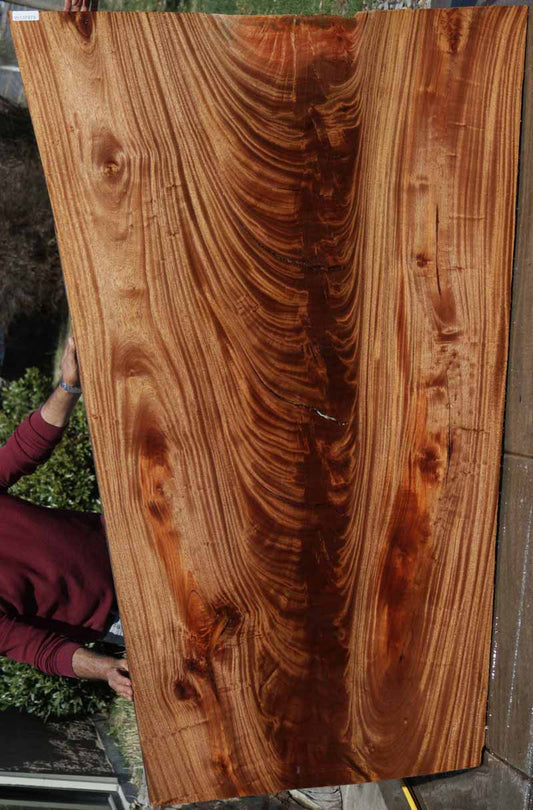 Feather Crotchwood Sipo Slab