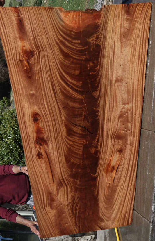 Feather Crotchwood Sipo Slab