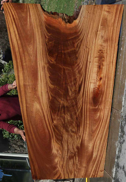 Feather Crotchwood Sipo Slab