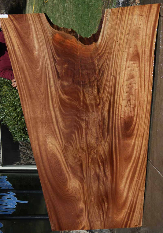 Feather Crotchwood Sipo Slab