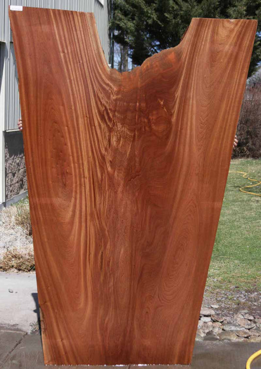 Crotchwood Sipo Slab