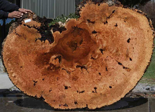 Maple Burl Cookie