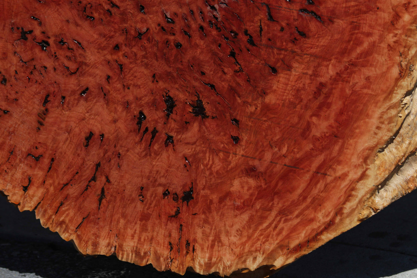 Australian Red River Gum Burl Cookie Slab