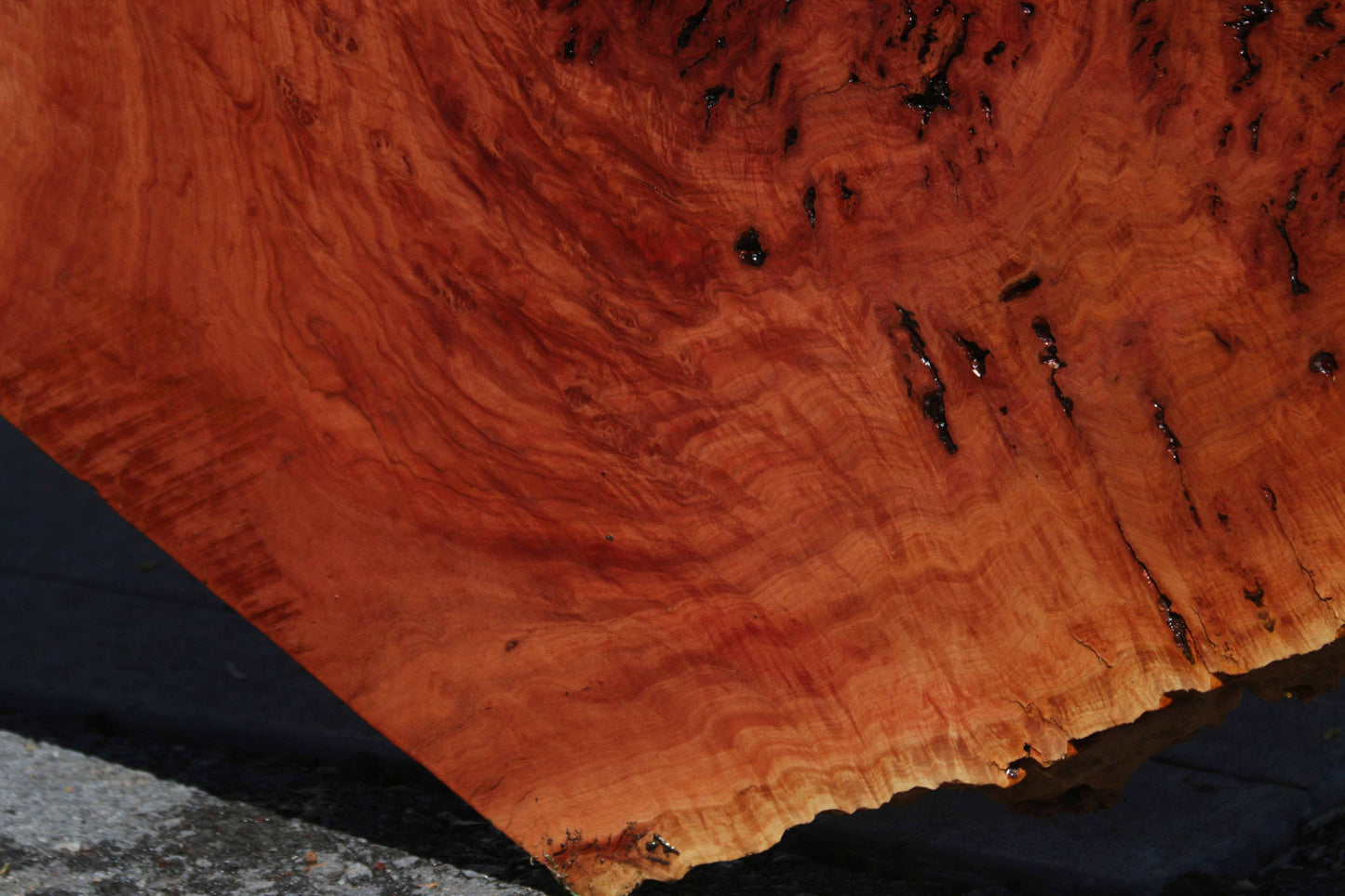 Australian Red River Gum Burl Cookie Slab