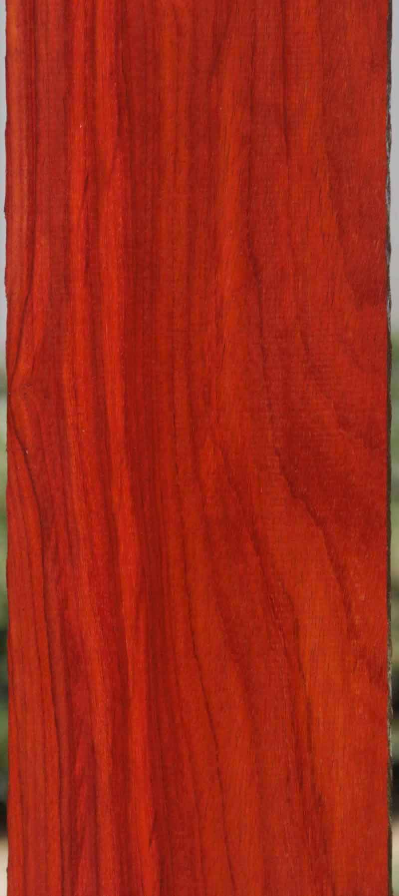 African Padauk Lumber - SOLD
