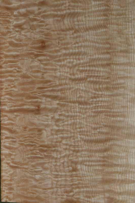 Quilted Maple Mini Slab