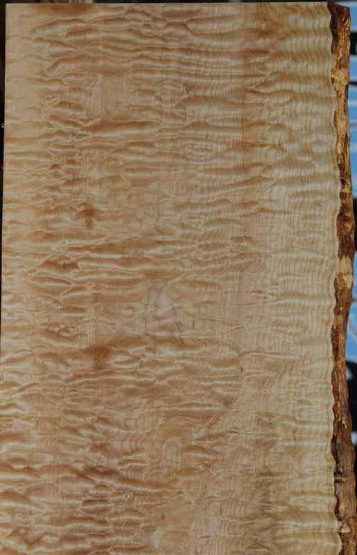 Quilted Maple Mini Slab