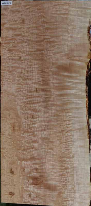 Fancy Quilted Maple Mini Slab