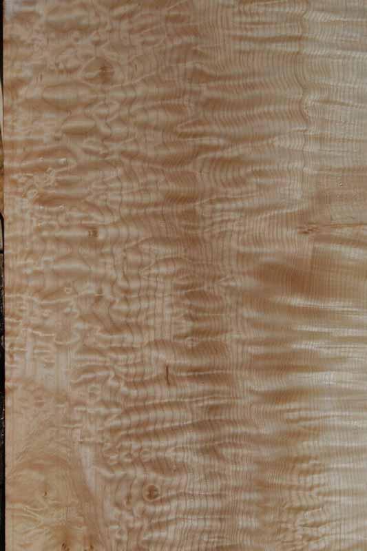 Fancy Quilted Maple Mini Slab