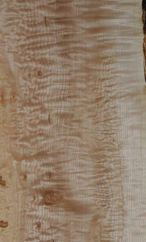 Fancy Quilted Maple Mini Slab