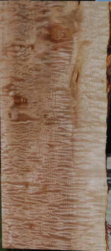 Fancy Quilted Maple Mini Slab